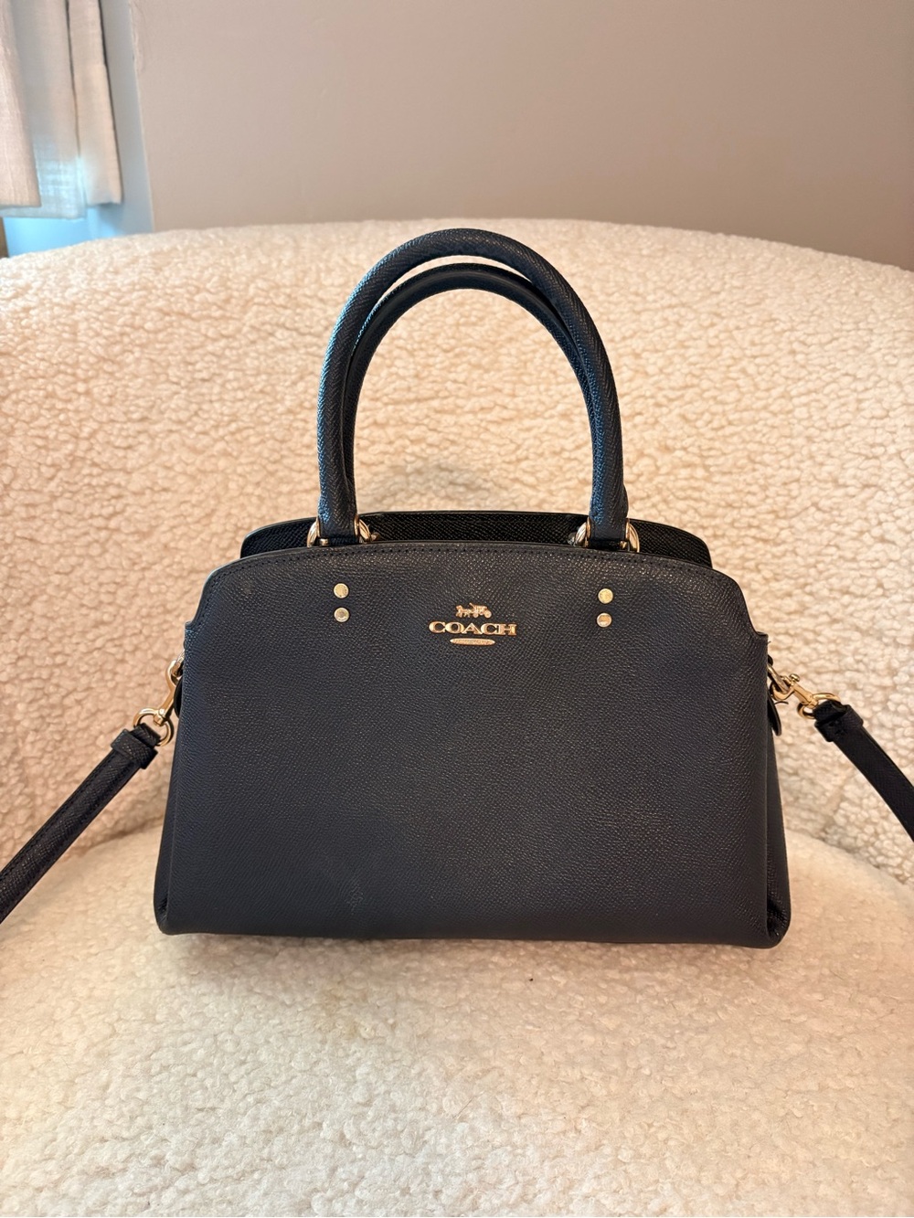 Coach Mini Lillie Carryall Purse
